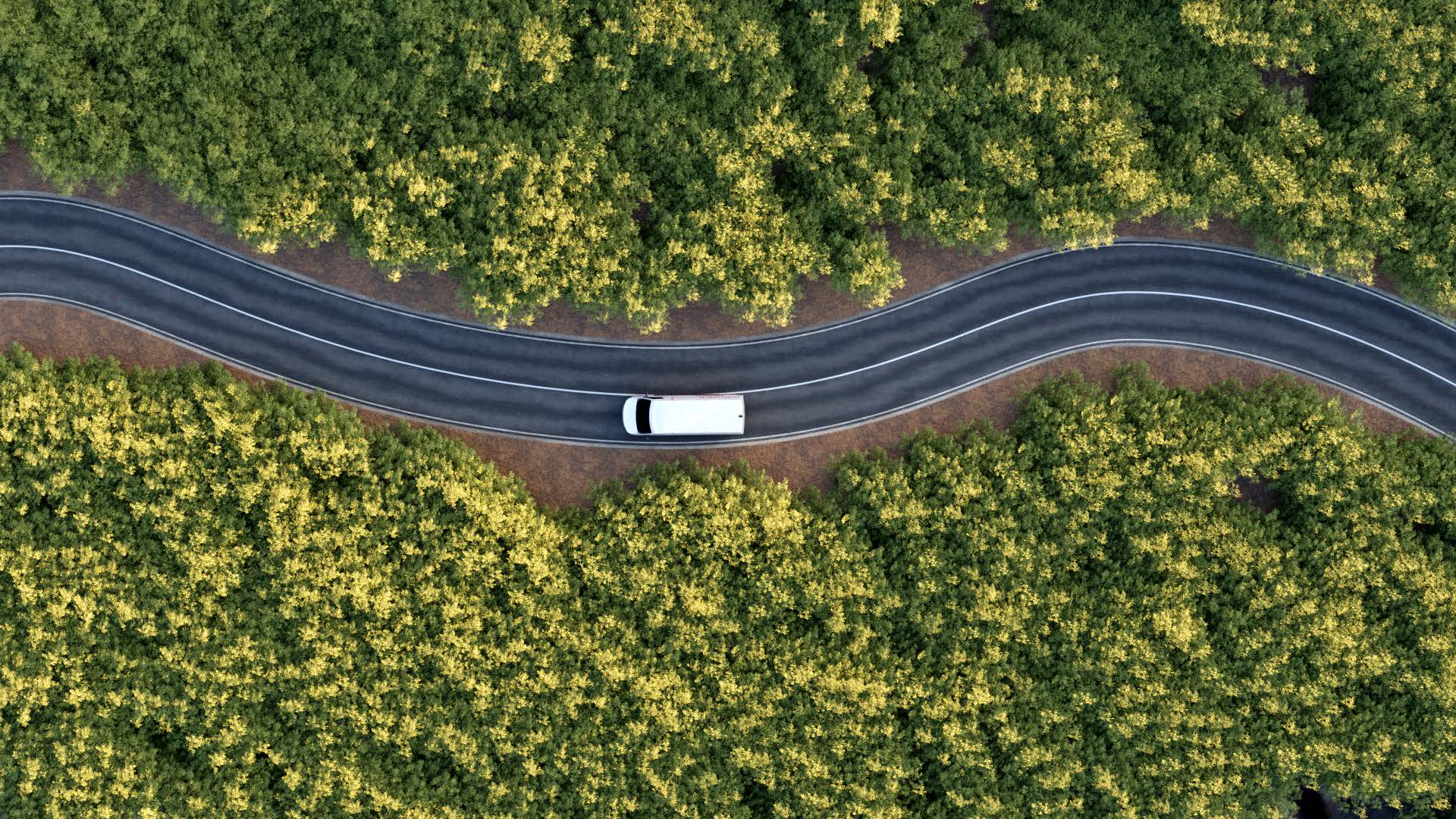 Crozier van aerial forest road