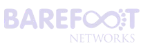 Barefoot Networks